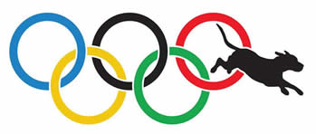 Dog Olympics
