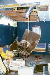 Katrina Damage in Vet Clinic