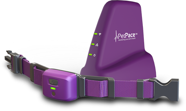 The PetPace Collar