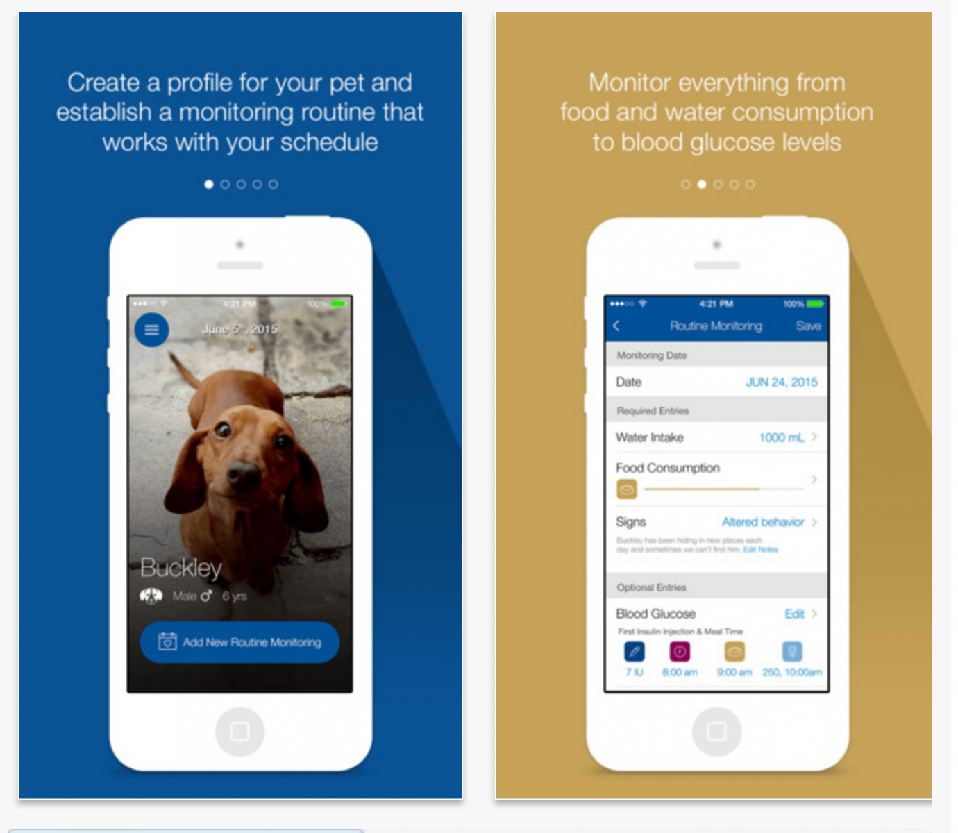 App Screen shot