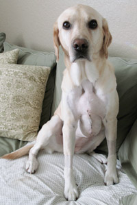 Post-surgery