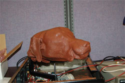 Sim Pooch