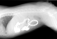 Slip collar