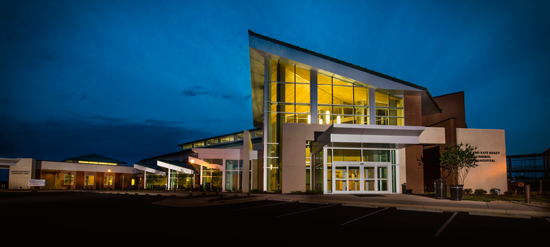 Meet The Dean: College of Veterinary Medicine at Auburn University