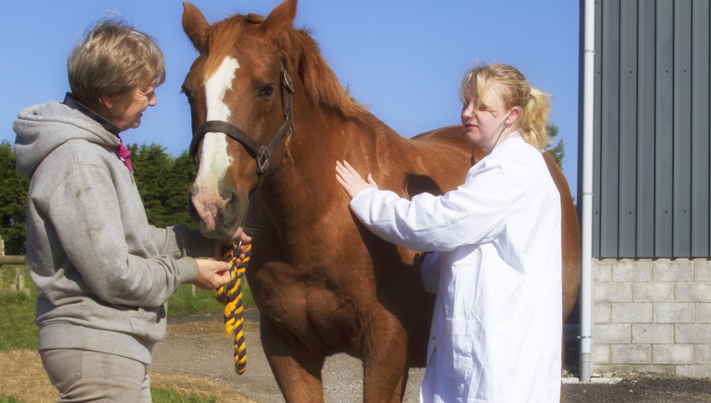 Take time to talk to your clients about their horse's health.