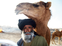 An Afghan man and his sick camel