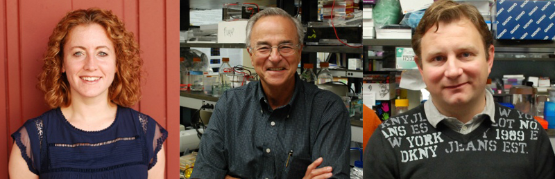 Penn Vet Researchers