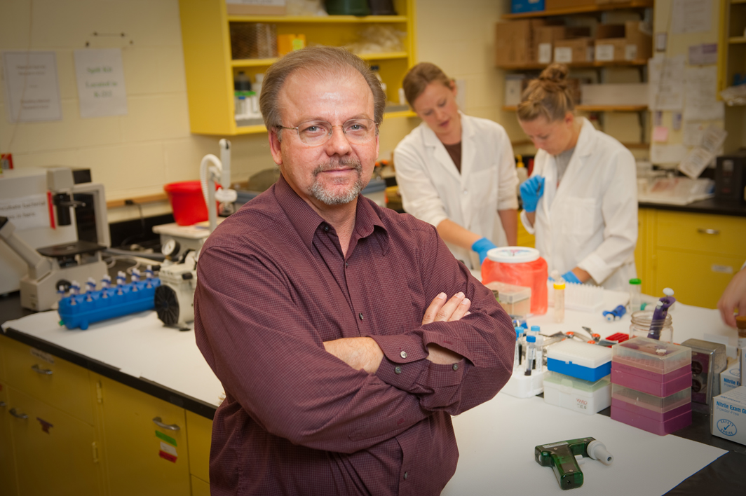 Dr. Raymond “Bob” Rowland, professor of diagnostic medicine and pathobiology at Kansas State University, is involved in a collaborative project that has developed pigs that are resistant to the devastating disease caused by the PRRS virus.