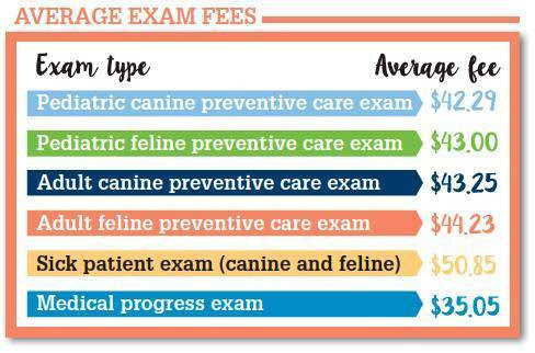Exam Fees
