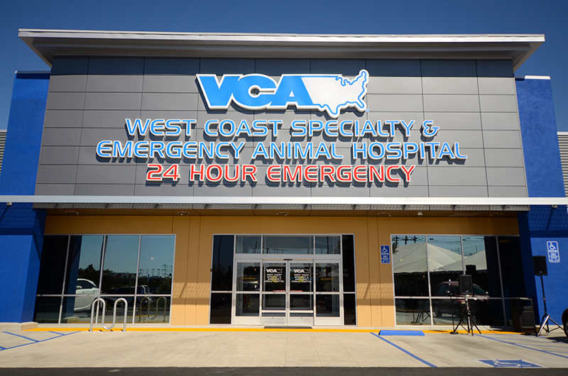 vca emergency animal hospital