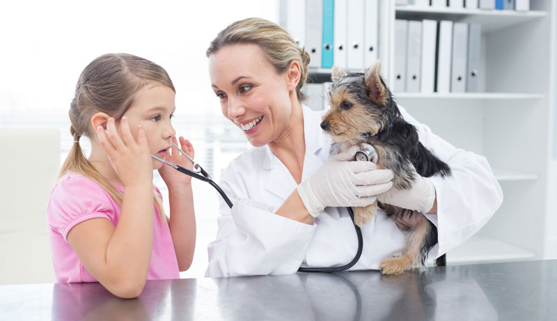 what do vets check for in puppies