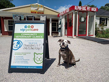 Vip pet wellness sales center