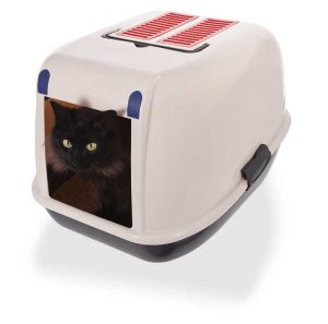 Cat megacolon miralax cheap