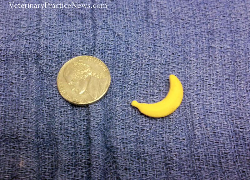 Banana toy size comparison