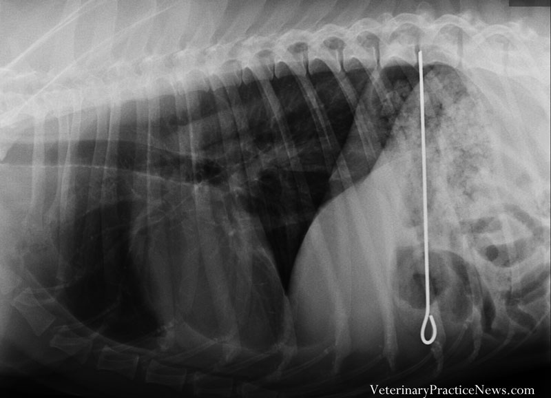 X-ray