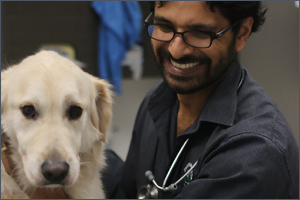 Australian vet receives 2018 WSAVA, Hill’s Next Generation award