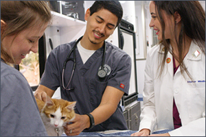 PetSmart Charities earmarks $500K for 21 North American vet schools