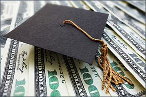 AAVMC establishes scholarship fundraising award