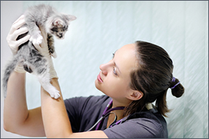 Feline MCS assessments a missed opportunity?