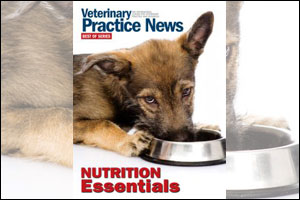 Nutrition e-book available for free download