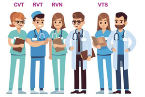 Why title protection matters