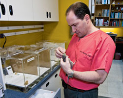 A Bird’s-eye View Of An Avian Specialist: Larry Nemetz, DVM
