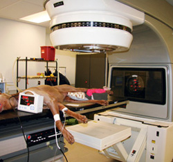 How To Treat Osteosarcoma When Surgery Is Refused