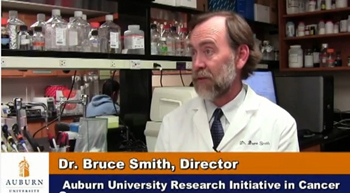 New Dog Bone Cancer Research