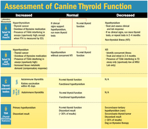 Thyroid Function Test Interpretation Chart