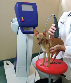 Laser Vs. Acupuncture And Massage
