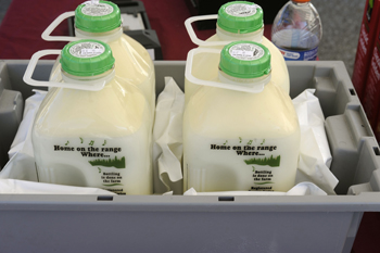 Rumensin Approved For Milk Production Efficiency Gains