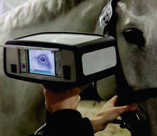 Eye Scans For Spies...and Horses?