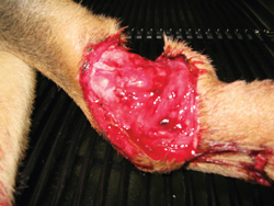 Laser Therapy In A One-doctor Practice