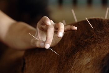 Acupuncture For Neurologic Recovery