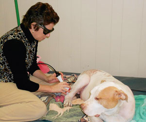 Laser Therapy In A Rehabilitation Clinic