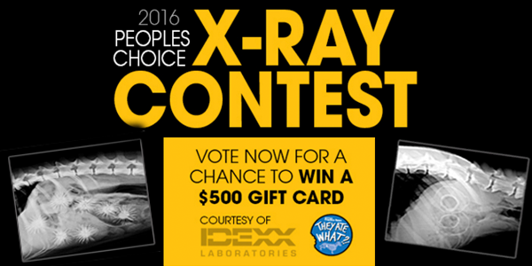 2016 ‘They Ate What?!’ People's Choice X-Ray Contest