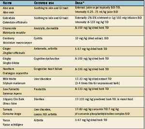 12 Herbs For Problems Commonly Seen In The Practice