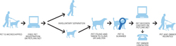 Finding Common Ground In Pet Recovery