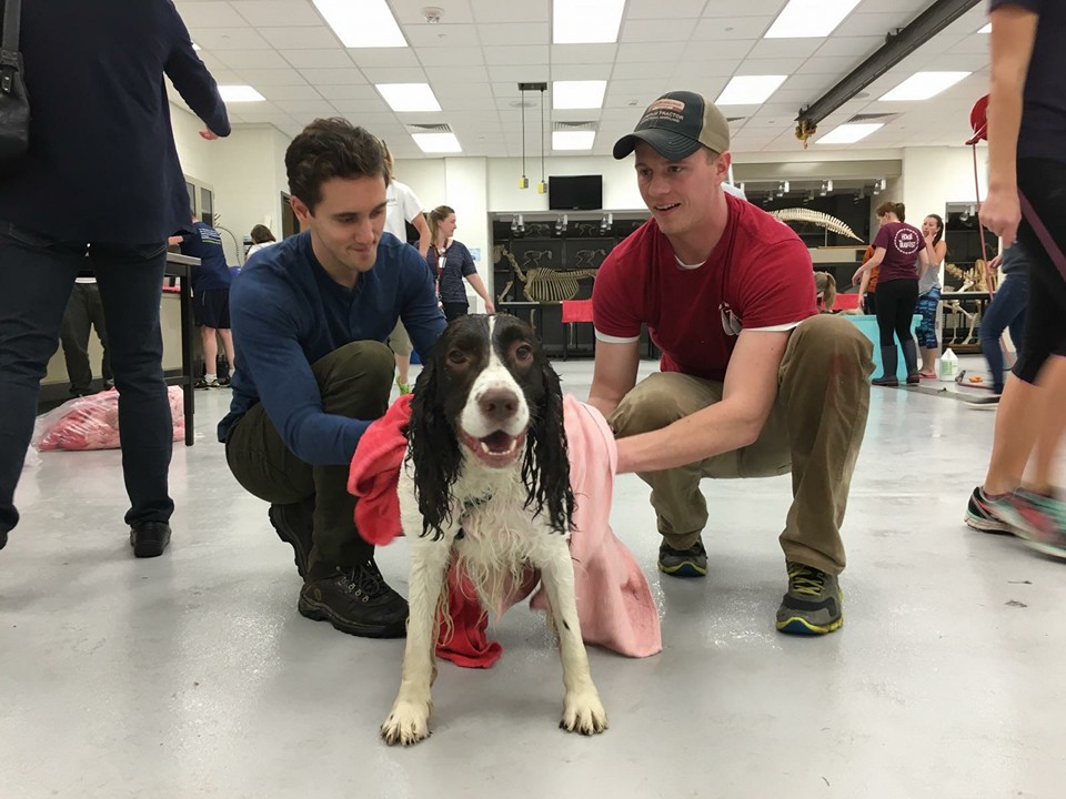 Virginia Tech Vet Students Bathe Dogs in Biannual Event
