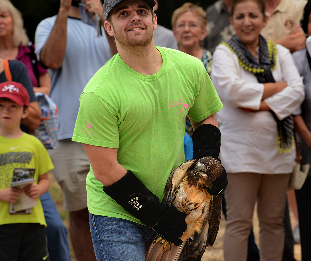 Auburn University’s Raptor Center Holds Public Bird Release