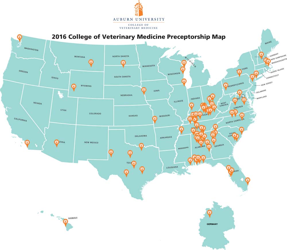 Auburn Vet Students Begin Preceptorships