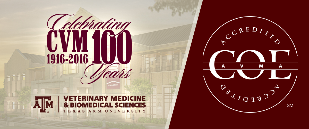 Texas Vet College Receives Accreditation Renewal