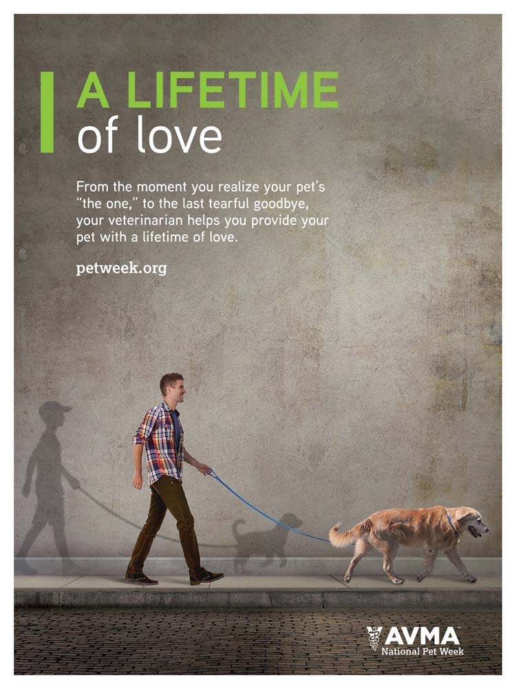 AVMA Poster Celebrates National Pet Week with 'A Life of Love' Poster