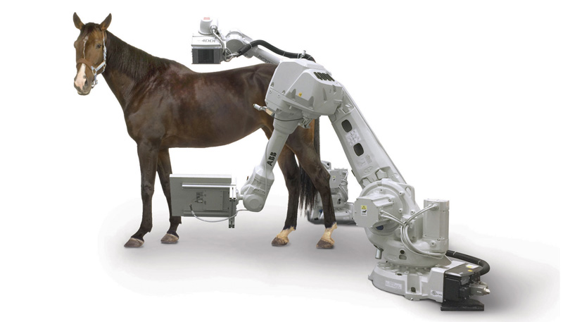 Innovative CT Scanner for Horses Debuts