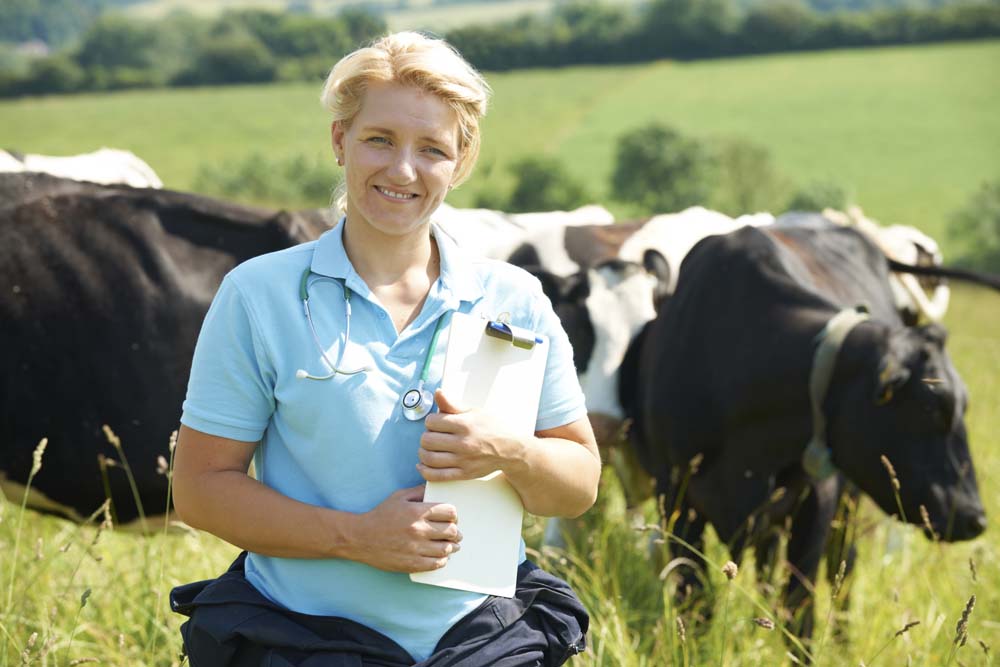 Veterinary Service Grants Available from USDA