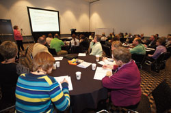 122-Foot Screen To Show Live Surgeries During AAHA Conference