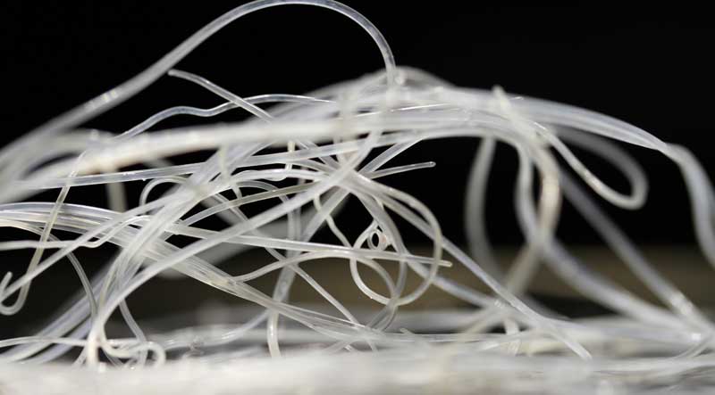 Virbac Strengthens Ties to Heartworm Society