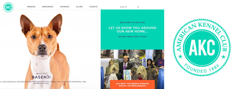 AKC Updates Website, Logo