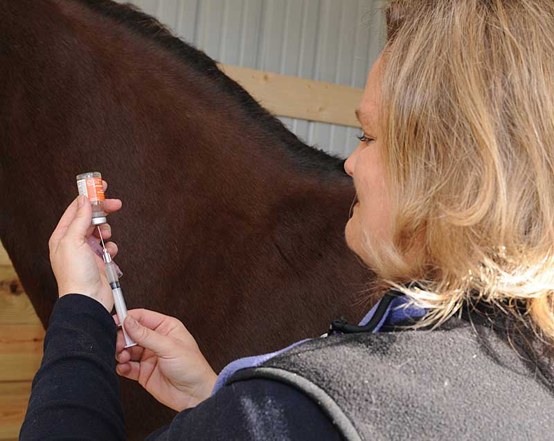 Vets Stay Legal With Signing of Drug Mobility Act