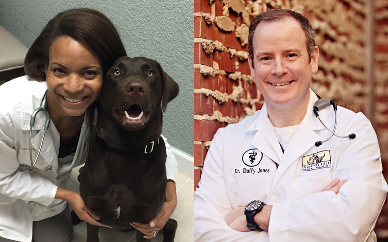 Voting Underway in Favorite Veterinarian Contest